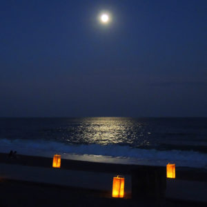 桂浜から望む月
