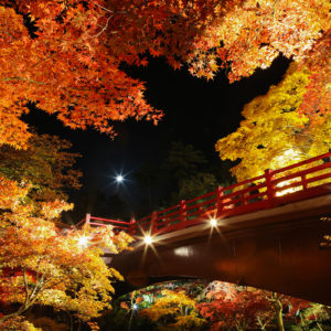 彌彦神社周辺にのぼる月