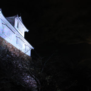 津山城にのぼる月