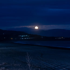 琴ケ浜にのぼる月